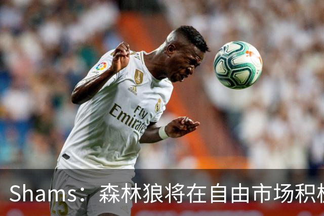 Shams：森林狼将在自由市场积极补强4号位 但他们只能提供底薪